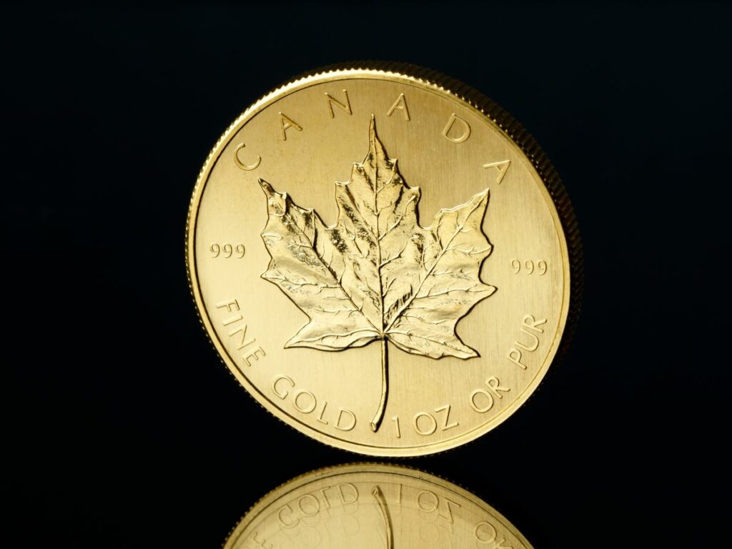 Canadian Gold Maple Leaf Coin - 1 oz.